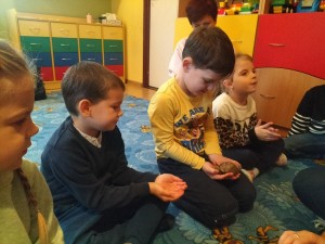 IMG20231120110435